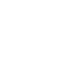 Linkedin icon